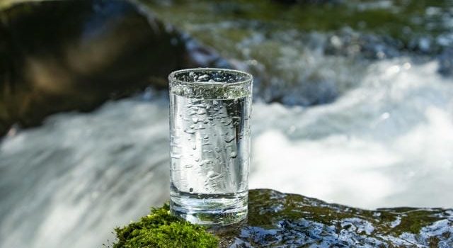 多様化する食品容器選びと発注現場が求める持続可能な流通と衛生管理
