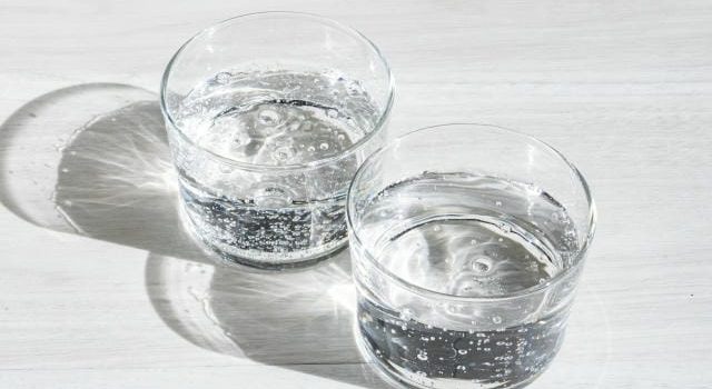 進化する業務用食品容器現場課題と環境配慮が生む新たな価値