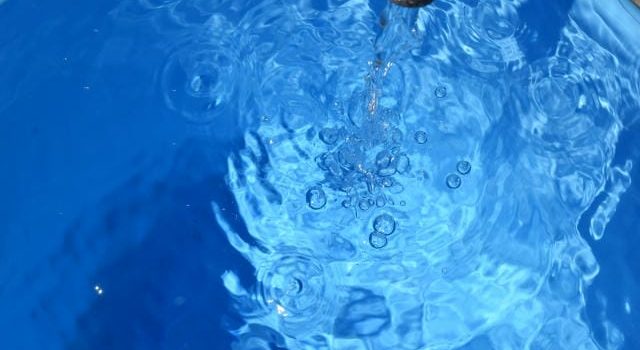 食品容器選びが事業成功を左右する現代における最適調達とその新たな価値