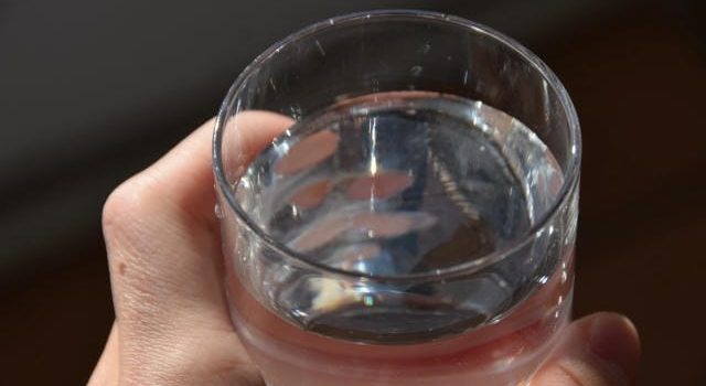 食品容器が支える業務用食の現場と進化する選択基準の最前線