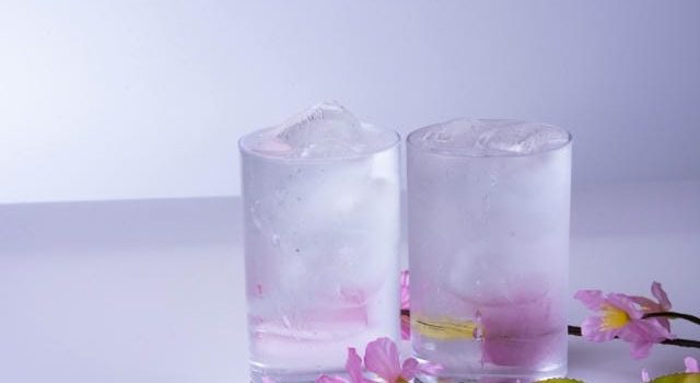 業務現場の安心安全を支える食品容器選びと発注の極意とは