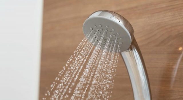 業務現場で進化する食品容器選定と発注多様化するニーズへの対応力