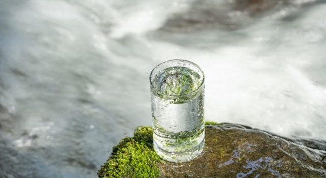 業務の質と未来を左右する食品容器選びの極意と環境意識へのシフト