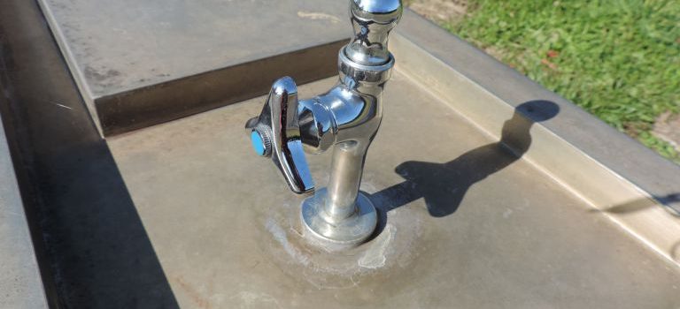 業務効率と企業価値を高める食品容器選びと最適な発注管理のポイント