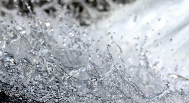 現場を支える進化と多機能性食品容器が担う安全と効率化の最前線