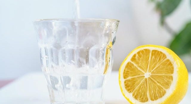 食品容器が変える業務現場運営を支える選定と発注最前線の実態 食品容器が変える業務現場運営を支える選定と発注最前線の実態