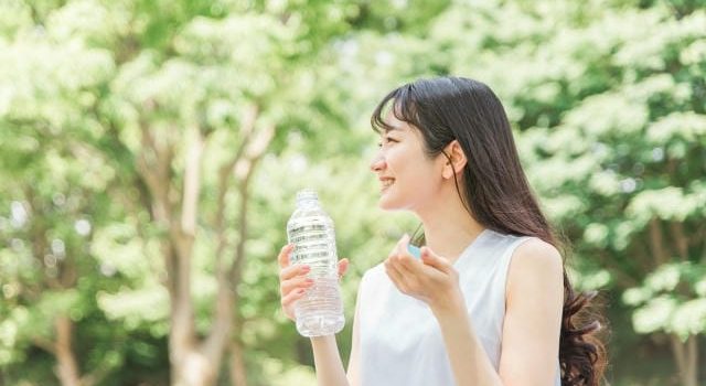 業務現場の未来を支える食品容器の多様化と発注最前線に迫る視点