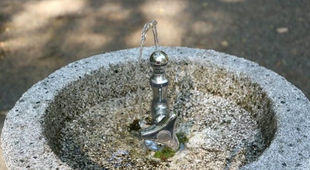 食品容器が支える安全で効率的な食の流通と現場の運用最前線