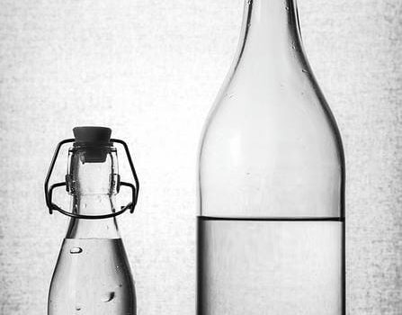 食品容器が切り拓く業務用現場の新時代と安全と環境配慮への挑戦