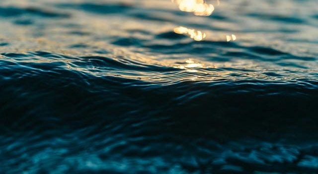 持続可能な業務運営を支える食品容器の選定と発注管理の最前線