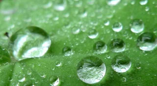 持続可能な業務を支えるガラス容器多様な現場で進化する選定と活用の最前線 持続可能な業務を支えるガラス容器多様な現場で進化する選定と活用の最前線